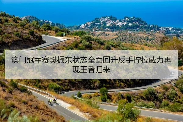 澳门冠军赛樊振东状态全面回升反手拧拉威力再现王者归来
