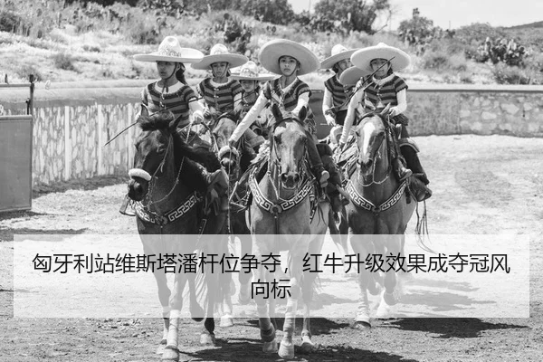 匈牙利站维斯塔潘杆位争夺，红牛升级效果成夺冠风向标